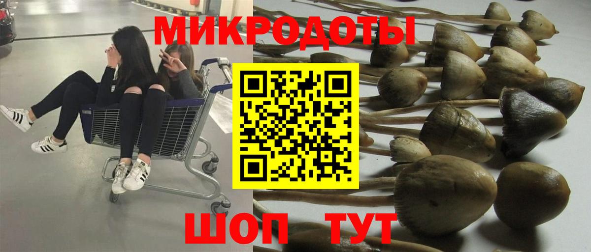 Галлюциногенные грибы Psilocybe  Галлюциногенные грибы мицелий  Нижневартовск  Вход с VPN 