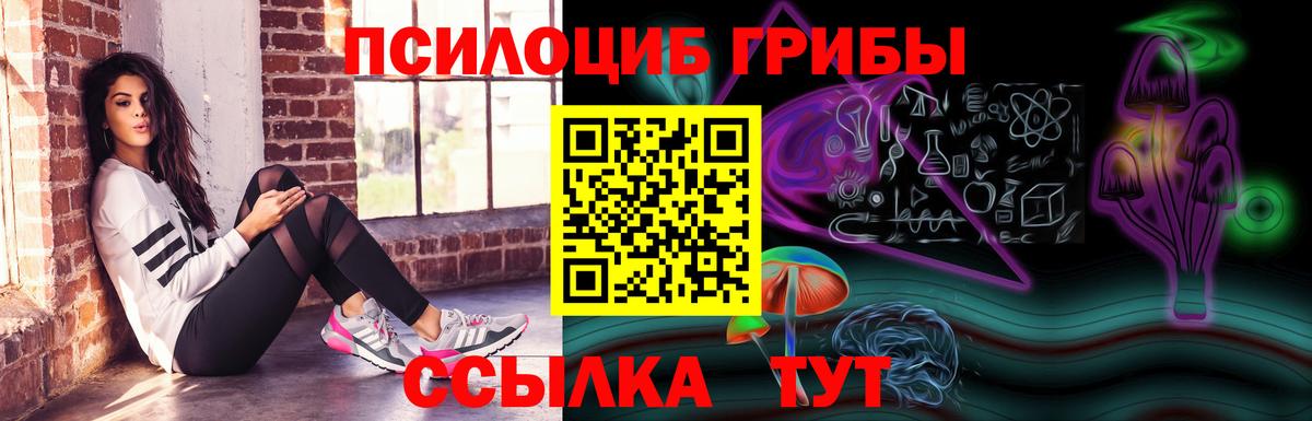 Галлюциногенные грибы Psilocybine cubensis Нижневартовск
